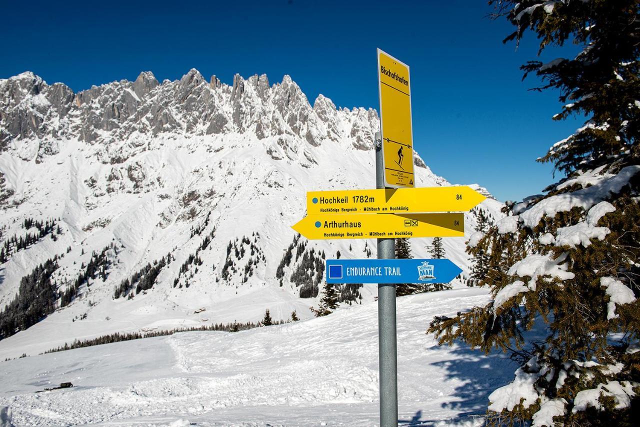 Skyberg Chalet Mühlbach am Hochkönig المظهر الخارجي الصورة